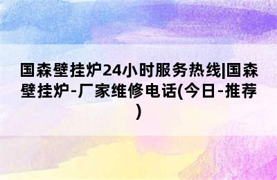 国森壁挂炉24小时服务热线|国森壁挂炉-厂家维修电话(今日-推荐)